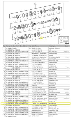 1.GERİ VİTES MASURA BİLYA - 2