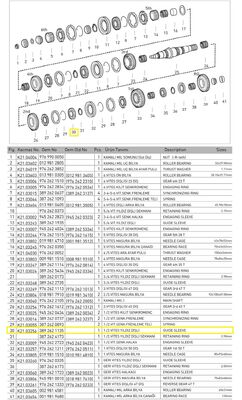 1.VİTES YILDIZ DİŞLİ (G 100) - 1