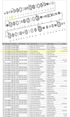 6.VİTES ÖN BİLYA - 2