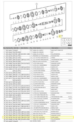 GERİ VİTES YILDIZ DİŞLİ - 1