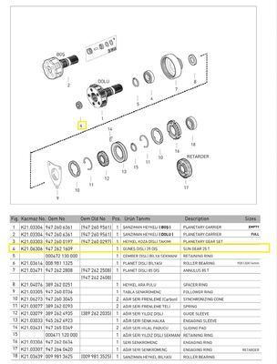 GÜNEŞ DİŞLİ (G 211 KL) - 2