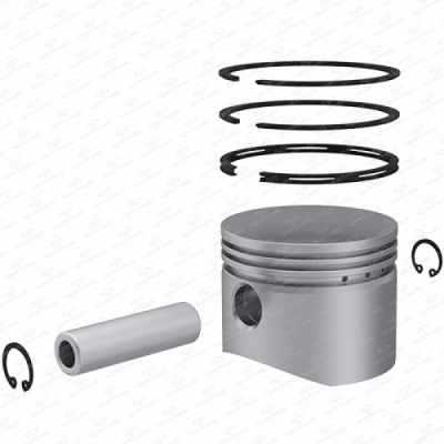 PİSTON SEGMAN SET Q80 (.25) 2.5X2.5X4MM - 1